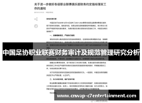 中国足协职业联赛财务审计及规范管理研究分析 中国足协职业联赛财务审计及规范管理研究分析