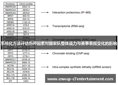 系统化方法评估伤停因素对国家队整体战力与赛事表现变化的影响